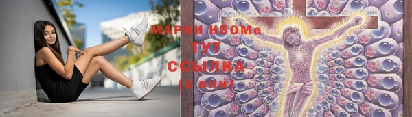 СК Волоколамск