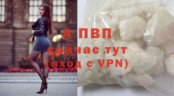 дживик Володарск