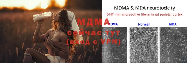 СК Волоколамск