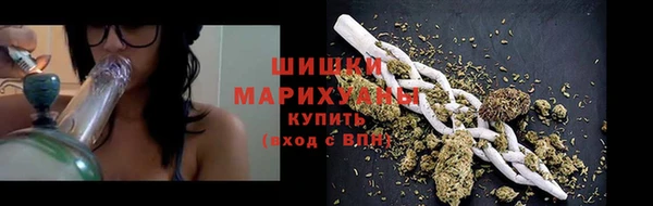 стаф Волосово