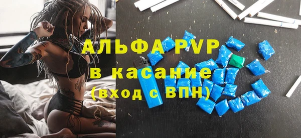 СК Волоколамск