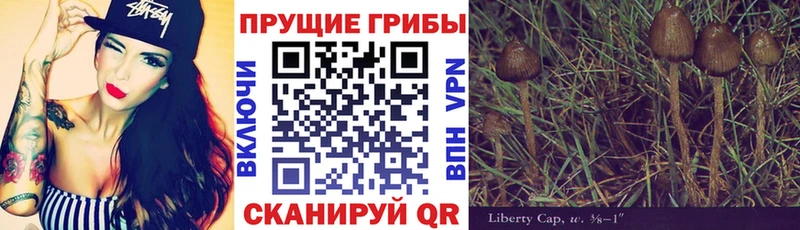 Псилоцибиновые грибы MAGIC MUSHROOMS  Афипский 